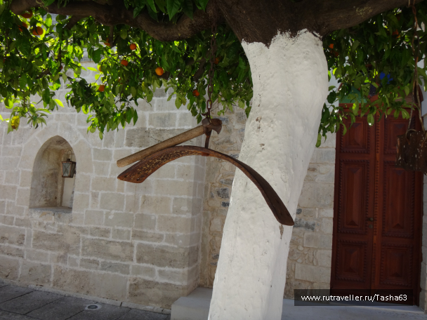 photo 1174218