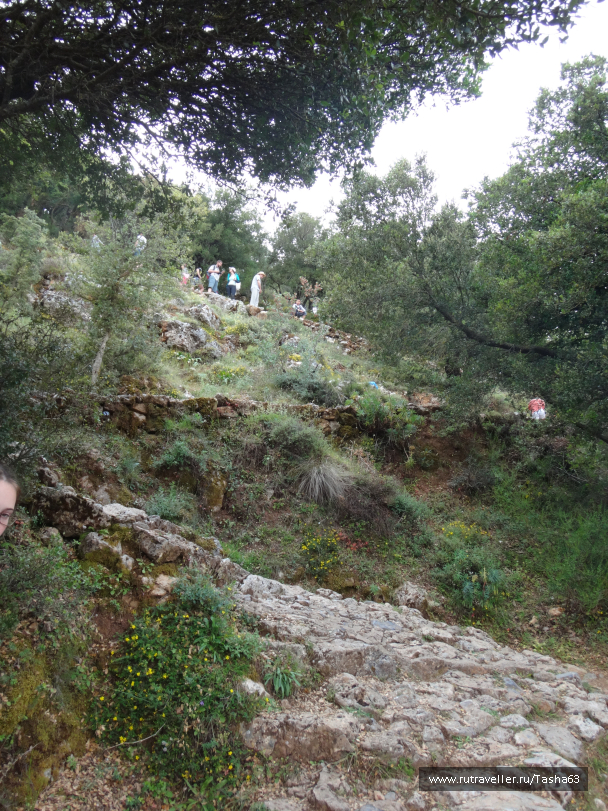 photo 1174241