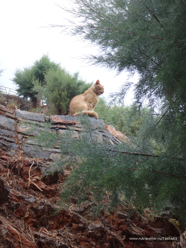 photo 1174248