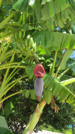 photo 249844