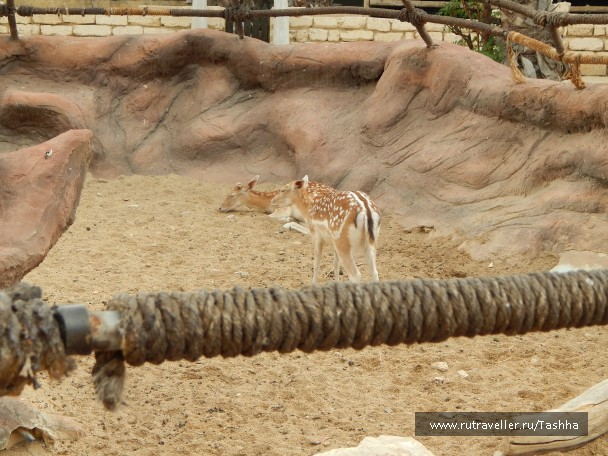 photo 797703