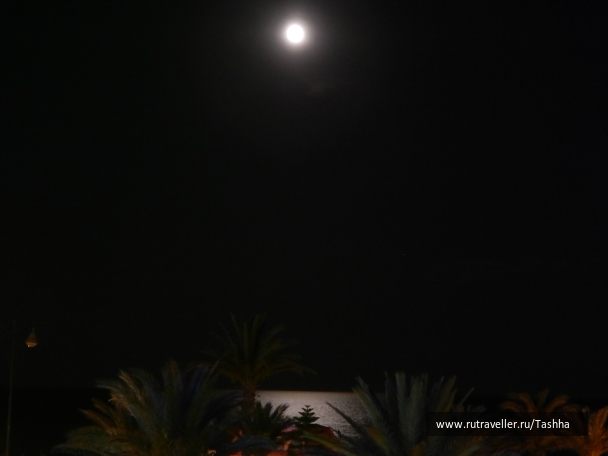photo 797704