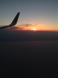 photo 799149