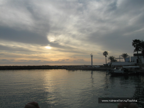 photo 87665