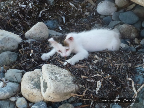 photo 812712