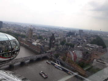 photo 1761154