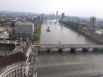 photo 1761155