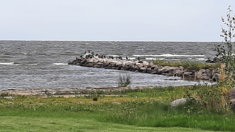 photo 2023837