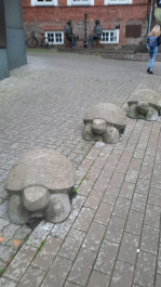 photo 2023883