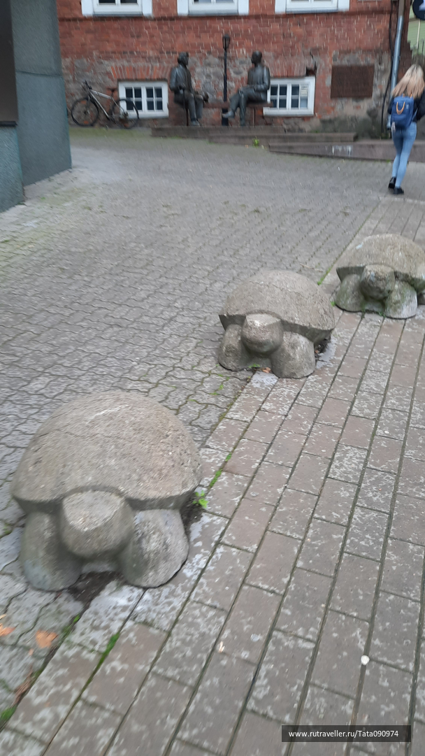 photo 2023883