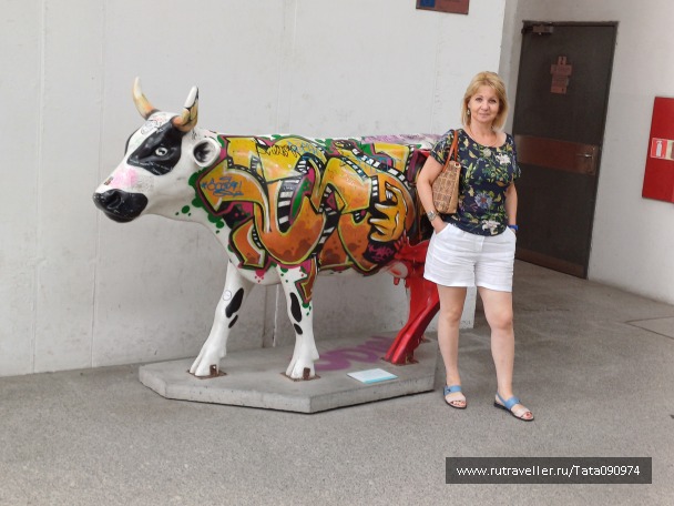 photo 2135255