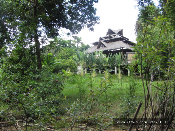 photo 595634
