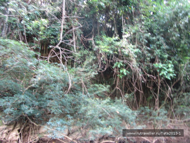photo 595639