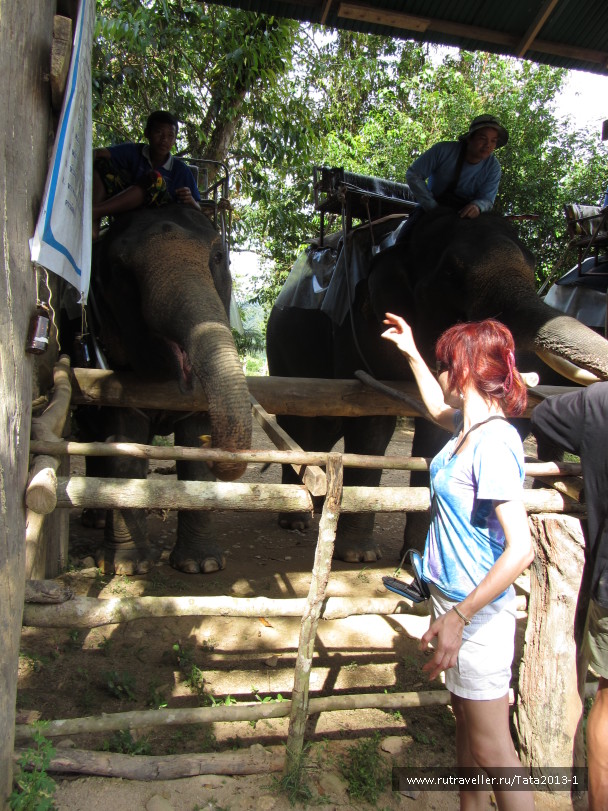 photo 596579