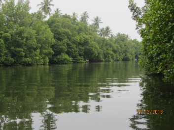 photo 633732