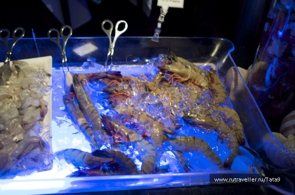 photo 265780