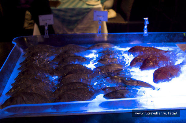 photo 265781