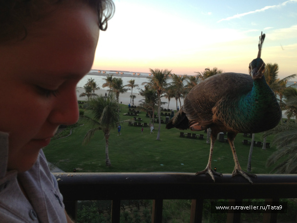 photo 265791