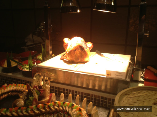 photo 265795