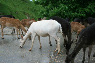 photo 172451