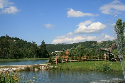 photo 172475