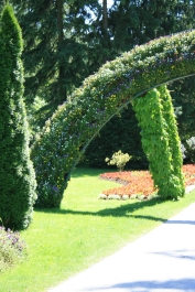 photo 172477