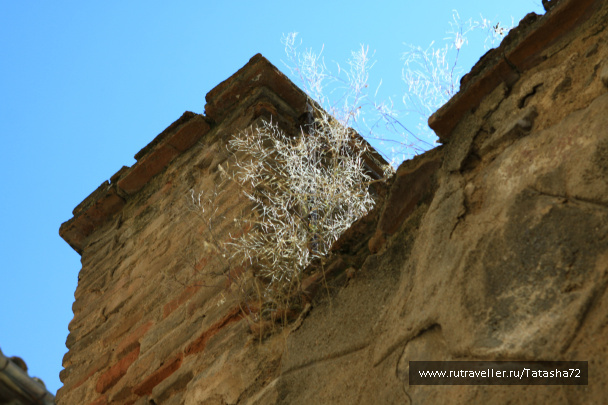 photo 424074