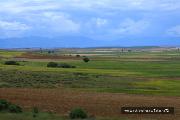 photo 424089