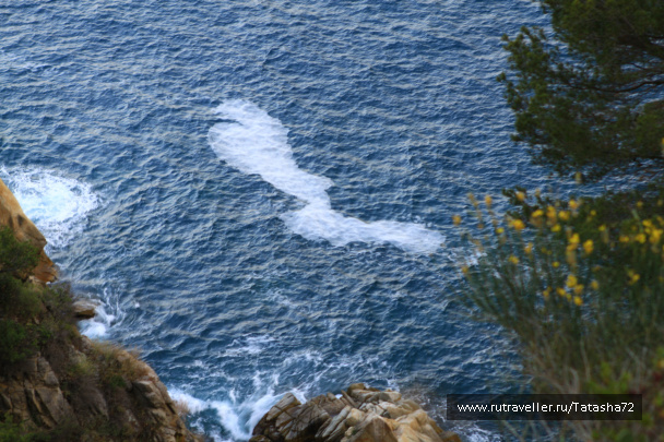 photo 426298