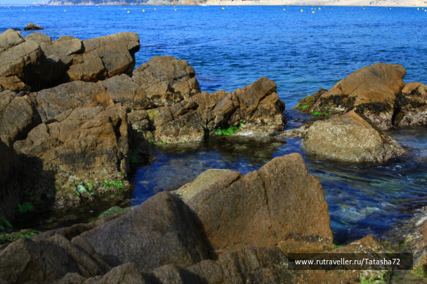 photo 426321