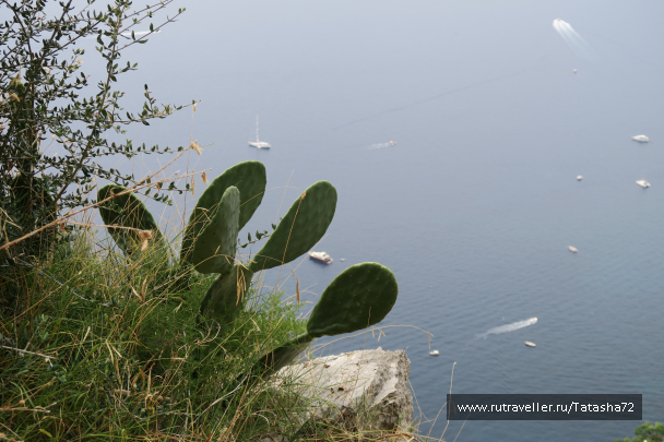 photo 1696296