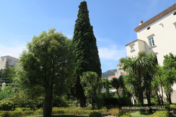 photo 1696315
