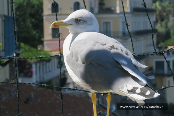 photo 1696344