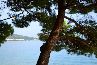 photo 861214