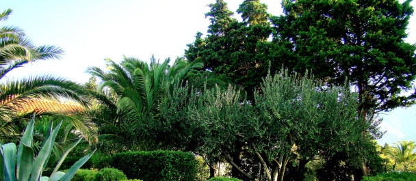 photo 424725