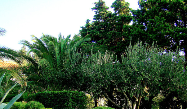 DSC0159511