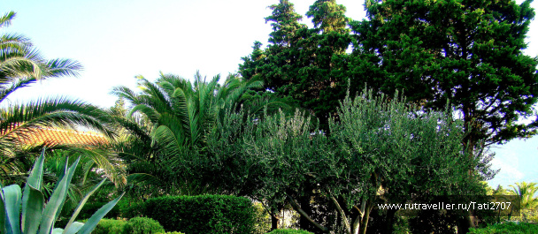 photo 424725