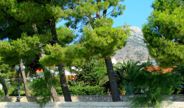 DSC0159411