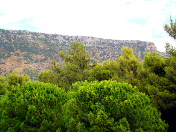 photo 427387