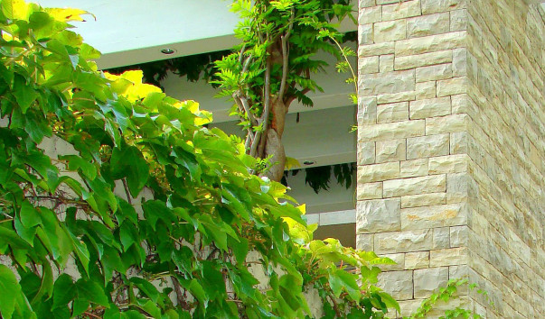DSC0154311