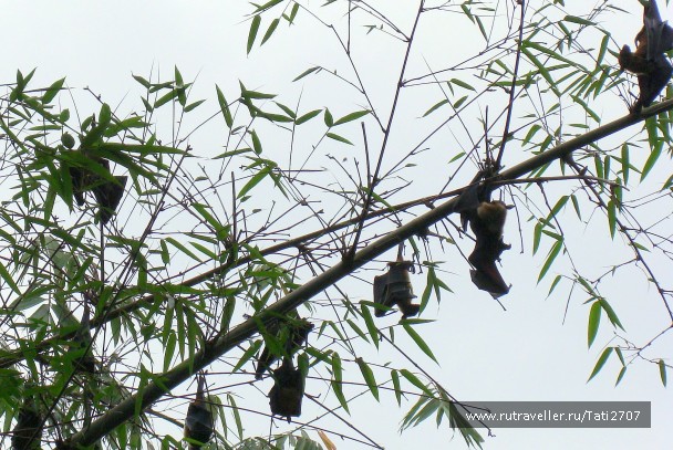 photo 376836