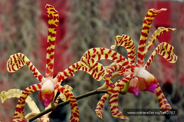 photo 414479