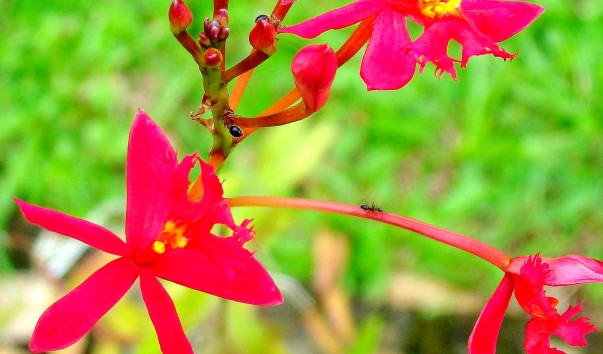 DSC0106611