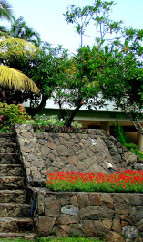 photo 427834