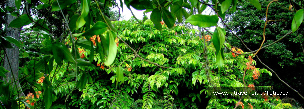 photo 427835
