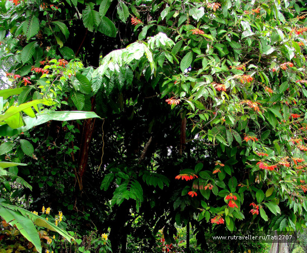 photo 427836