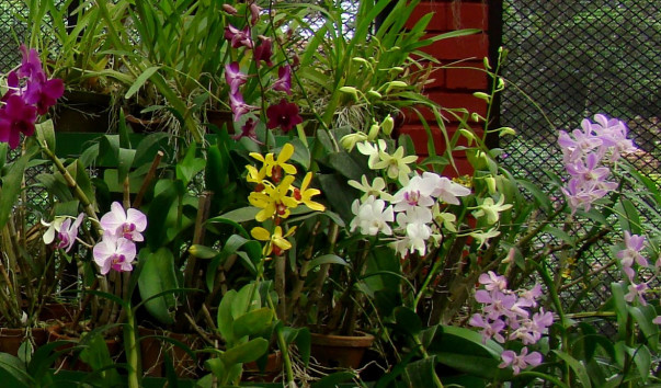DSC010831