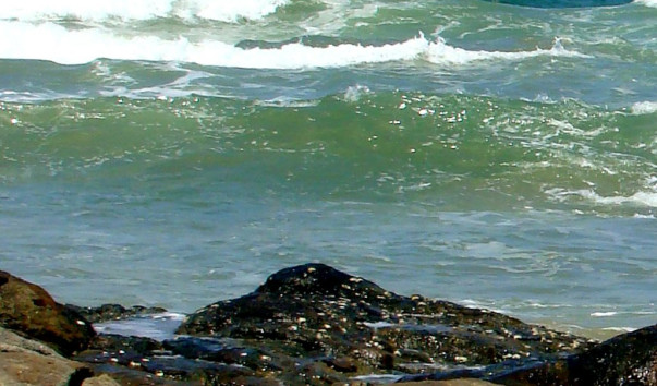 DSC0110811