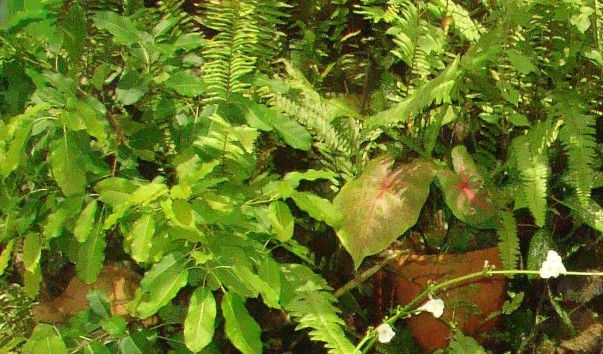 DSC014511