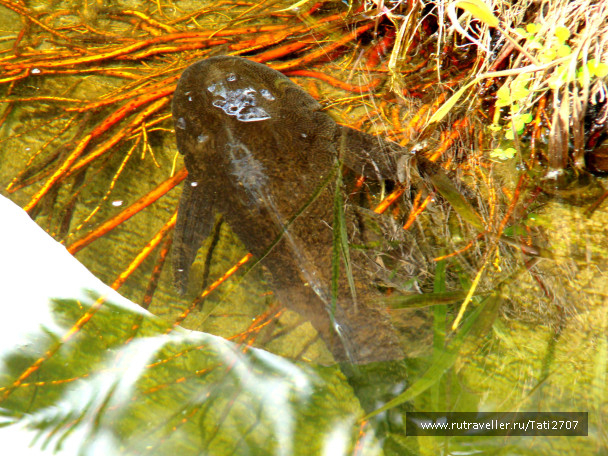 photo 422995